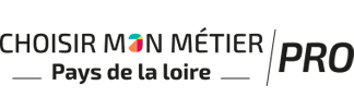 Srefop Et Territoires La Strategie Regionale Emploi Formation Et Orientation Professionnelles Orientation Pays De La Loire