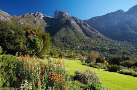 Kirstenbosch National Botanical Gardens Gardens Of The World National Botanical Gardens Botanical Gardens
