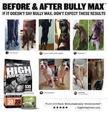 Bully Max Feeding Chart Best Picture Of Chart Anyimage Org