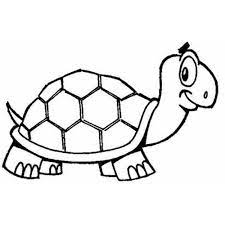 Globo herois meninos tartaruga tartarugas ninja. Desenho De Tartaruga Alerta Para Colorir Tudodesenhos