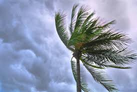 Hernando Sun - News update