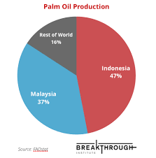 Between 1990 and 2010, malaysia lost 8.6% of its forest cover, or around 1,920,000 hectares (4,700,000 acres). Can Palm Oil Deforestation Be Stopped The Breakthrough Institute