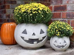 Seed planter plates for sweet corn, pumpkins, sunflowers & more feb 21, 2018 we often receive questions from growers with older seeders and planters who are looking to match seeds to the planter plates they have on hand. Diy Cement Pumpkin Planter For Halloween Dream A Little Bigger