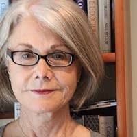 The Misconceiver by Lucy Ferriss