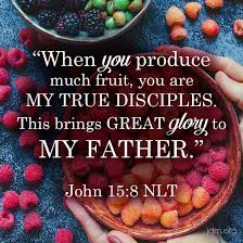 When You Produce Much Fruit You Are My True Disciples This Brings Great Glory To My Father John 15 8 Nlt Jesse Duplantis Word Of God God Is Good Father John