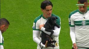 Setembro Caramelo: jogadores do Coritiba entram em campo com cachorros em ação para adoção