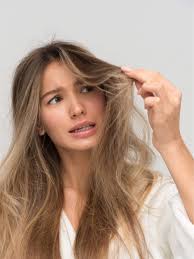 Hot oils can be massaged into the scalp and add shine to dry hair. Miracle Home Remedies For Dry Hair Times Of India