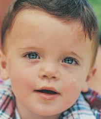 AFCC News Su2006 Pages