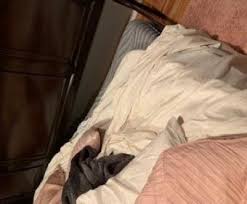 Find expert advice along with how to videos and articles, including instructions on how to make, cook, grow, or do almost anything. Ashley Furniture Customer Service Complaints Department Hissingkitty Com