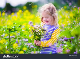 Then flowers are your answer! Child Picking Wild Flowers In Field Kids Play Royalty Free Stock Photo 289739117 Avopix Com