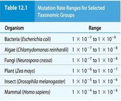 Most forward mutations (normal gene to mutant form) are recessive and so won't be detected unless a zygote gets two copies of the mutant allele. What Are The Causes Of Mutation Quizlet