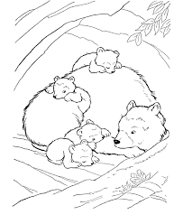 You can find some fun hibernation facts for kids here on the scholastic website. Pin By Katarina Engstrom Fd Karlsson On School Ideas Bear Coloring Pages Zoo Animal Coloring Pages Animal Coloring Pages