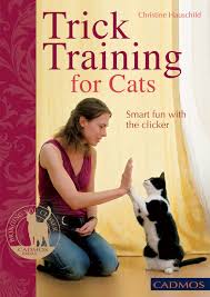 Clicker training is an easy way to teach your cat fun and practical behaviours. Amazon Com Trick Training For Cats Smart Fun With The Clicker Bringing You Closer 9780857884008 Hauschild Christine Books