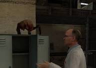 Half-Life 2 Headcrabs are a reoccurring enemy in the Half-Life series, appearing in each game and expansion. – @crabsinvideogames on Tumblr