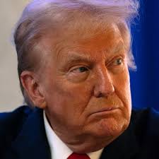 Leslie Knowlton (@LeslieKnowlton)