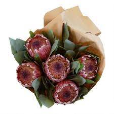 Fresh Pink Ice Protea And Eucalyptus Bouquet V1 In 2021 Eucalyptus Bouquet Fragrant Eucalyptus Protea Flower