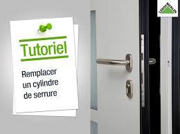 Qui ne doit pas dépasser du coté extérieur de la serrure c'est tout rien de plus mais avant de changer le cylindre. Comment Changer Serrure Portail Pvc