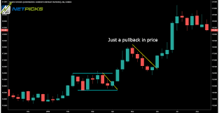 Bull Flag Pattern Trading Profit In A Bullish Market Netpicks