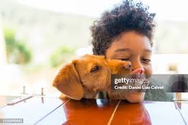 76 Dog Kiss Vet Stock Photos, High-Res Pictures, and Images