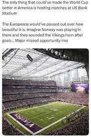 r/minnesotavikings - Anyone else think this would've been incredible?
