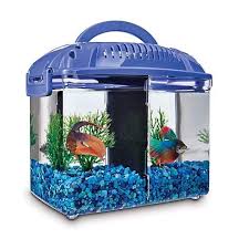 Local stores are preferable for any item you might need in a hurry for your aquarium. Imagitarium Betta Fish Dual Habitat Tank In Blue 0 8 Gal Petco Betta Fish Betta Fish Tank Fish Supplies