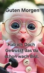 Ingrid Stock (ingrstock)