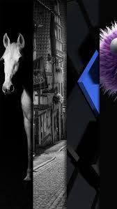 Baju polos hitam lengan panjang depan belakang. Hitam Latar Belakang Wallpaper For Android Apk Download