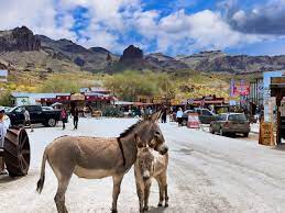 Tuesday Tidbits 24 Two Trails One Road Life Is An Adventure Road Trip Usa Arizona