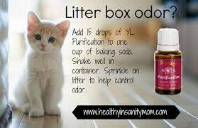 Pin On Uses For Essential Oils