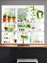 garden windows, window shelves