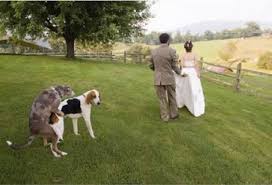 Wedding fever is well and truly upon us, with the season in full swing and a 17 hilarious but unfortunate wedding fails captured on camera. Funny Wedding Pictures Bad Wedding Day Photos
