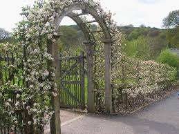Trained fruits are easier to harvest and can be squeezed into smaller gardens. Fruit Trees Carefully Trained Over The Arch Picture Of Rhs Garden Rosemoor Great Torrington Tripadvisor