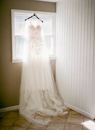 Image result for Nelsia