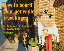 All american pet resorts rochester hills offers over 11,000 square feet of luxury dog boarding, grooming, and daycare. Travel Michigan Part 1 The Rochester Writer S Conference With The Dog Dog Trotting