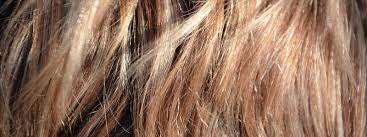 Durante El Embarazo No Debe Tenirse El Cabello