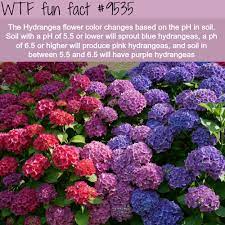 Pin On Gardening