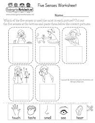 As your kindergarten kid learns the five senses, use this worksheet to help her associate new words with different tastes. Science Worksheet For Kindergarten Book Math Worksheets Kidsle Photo Ideas Five Senses Worksheetee Weather Samsfriedchickenanddonuts