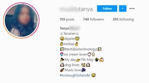 1000 Impressive Instagram Bio For Girls 2022 You Must Use