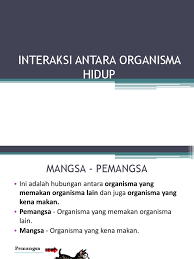 Tumbuhan membutuhkan air sebagai bahan baku melangsungkan proses fotosintesis. Interaksi Antara Organisma Hidup
