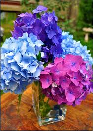 Maybe you would like to learn more about one of these? Earth Laughs In Flowers Beautiful Flowers Hydrangea Flower Beautiful Flower Arrangements