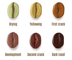 There are four different types of roasts you should be familiar with. The Effect Of Different Roasts On The Taste Of Your Coffee Inspira Coffee