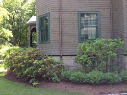 Ne Corner Front Of House Box Rhodies House Front Foundation Planting Plants