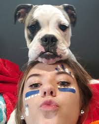 English bulldog at cheerleader media day