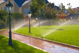 There are ingenious and resourceful methods every gardener has tried. Best Time To Run Your Sprinklers