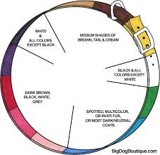 Fur To Dog Collar Color Coordination Color Wheel Dog Boutique Dog Collar Big Dogs