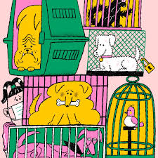 Check spelling or type a new query. What Will Become Of The Pandemic Pets The New Yorker
