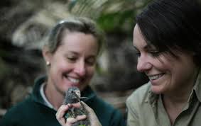 The Mohamed bin Zayed Species Conservation Fund