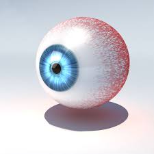 3d Model Of Human Eye Animate Human Eye Diagram Human Eye 3d Human