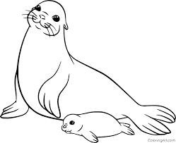 Animal coloring pages baby forest. Sea Lion And Her Baby Coloring Page Coloringall