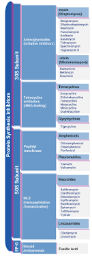 Antibiotic Classification Table